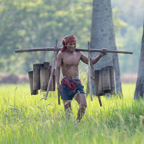 Farmer bringing coconut neera